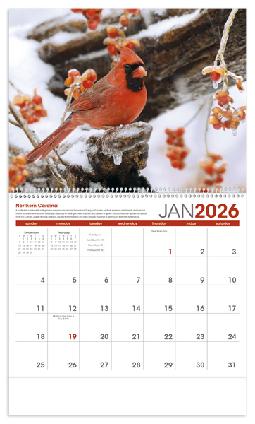Triumph® Calendars Birds Calendar