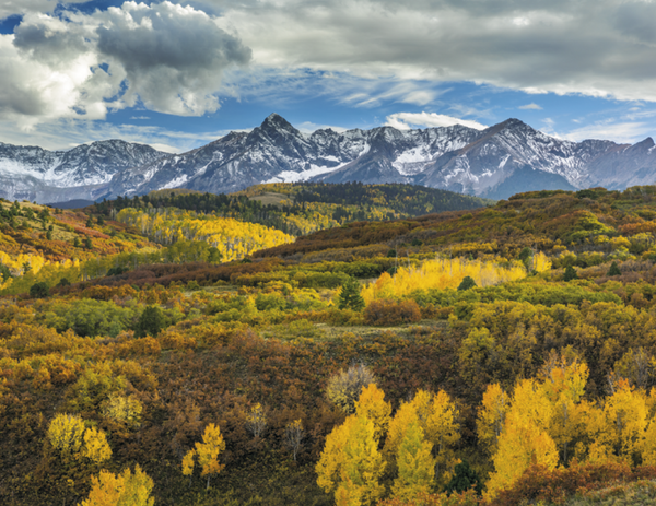 Triumph® Calendars Scenic Inspirations Calendar