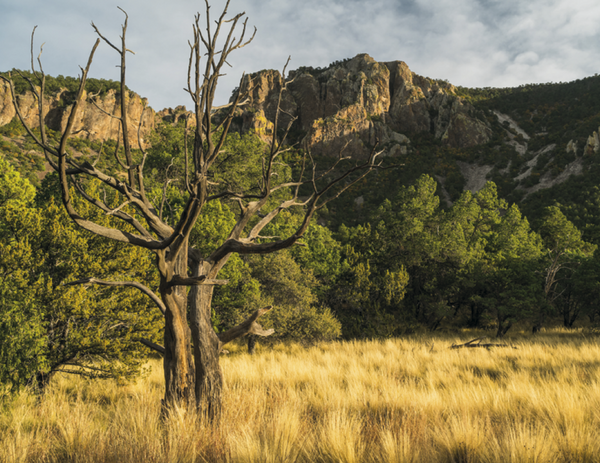 Triumph® Calendars Texas Calendar