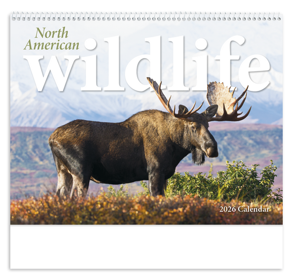 Triumph® Calendars North American Wildlife Calendar
