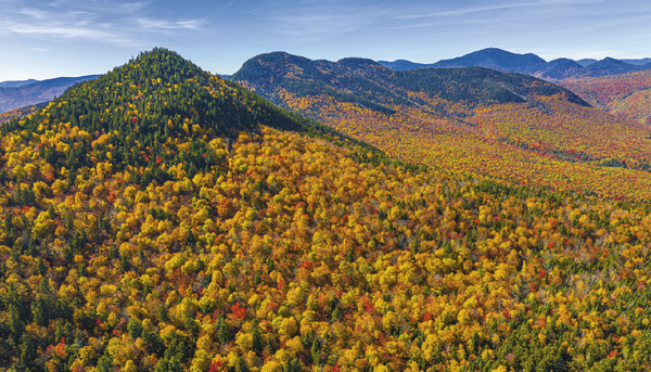 Triumph® Calendars American Splendor with Date Blocks Calendar