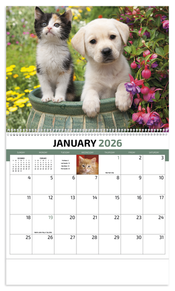 HotLine® Products Four Paws Appointment Calendar - Spiral
