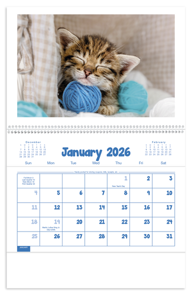 Triumph® Calendars Puppies & Kittens Pocket Calendar