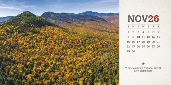 Triumph® Calendars American Splendor Desk Calendar