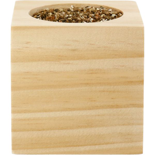 Sprigbox Cilantro Grow Kit