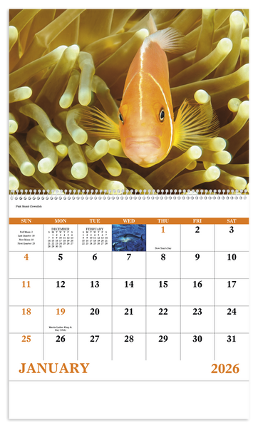 Good Value™ Ocean Glory - Spiral Calendar