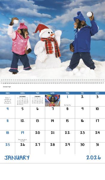 Good Value™ Monkey Mischief - Spiral Calendar