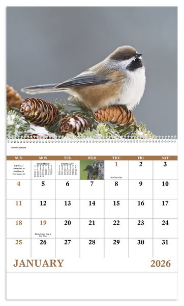 Good Value™ Birds of North America - Spiral Calendar