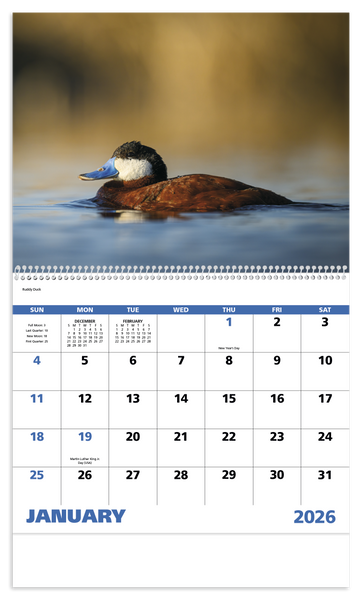 Good Value™ Waterfowl - Spiral Calendar
