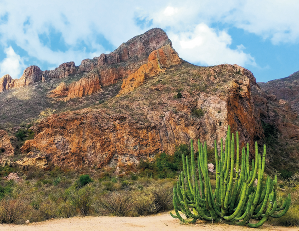 Good Value™ Mexico - Spiral Calendar