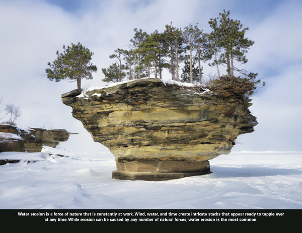 Good Value™ The Power of Nature - Spiral Calendar