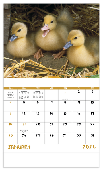 Good Value™ Baby Farm Animals - Stapled Calendar