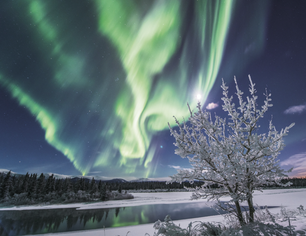 Good Value™ Canadian National Parks - Stapled Calendar