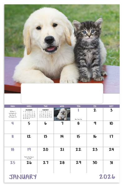 Good Value™ Puppies & Kittens - Window Calendar