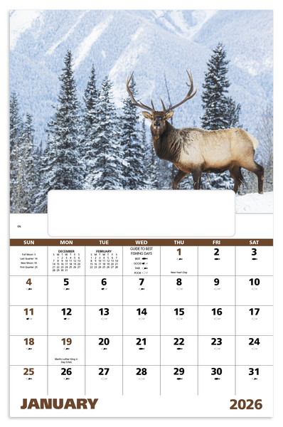 Good Value™ Wildlife Portraits - Window Calendar