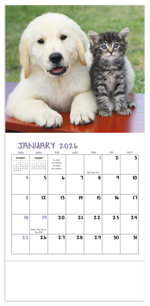 Good Value™ Puppies & Kittens - Mini Calendar