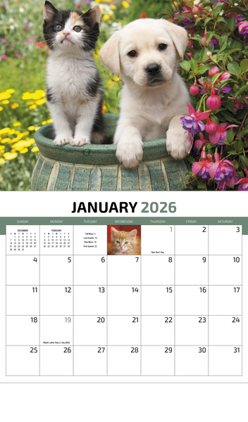 HotLine® Products Four Paws Appointment Calendar - Stapled