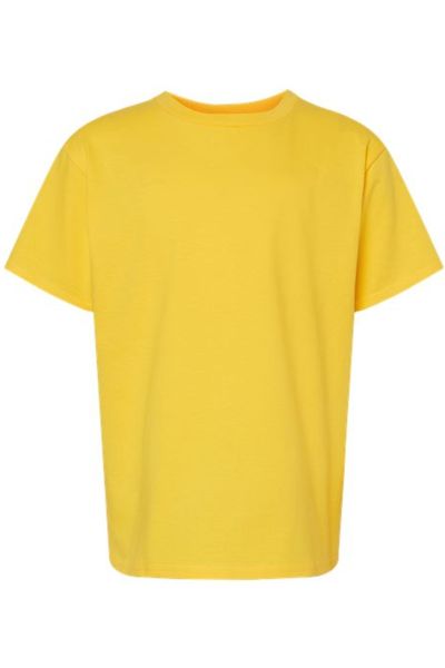 Gildan Softstyle Youth Midweight T-Shirt