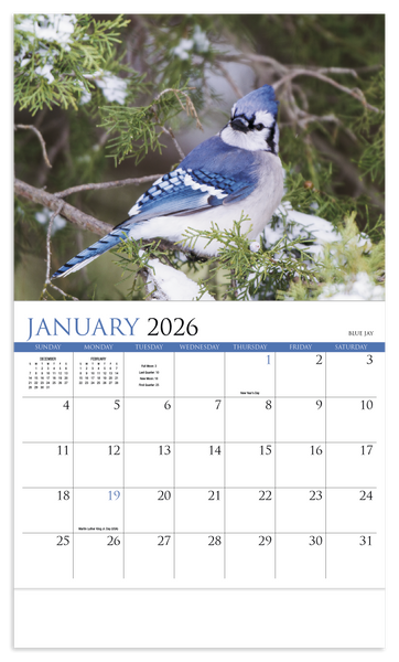 HotLine® Products Songbirds Appointment Calendar - Stapled