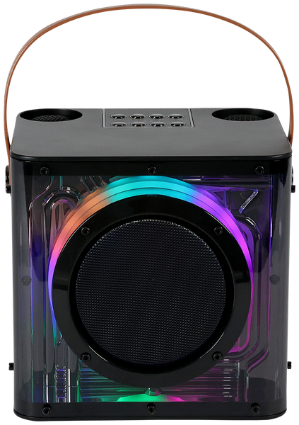 15W Karaoke Wireless Speaker with 2 Mics