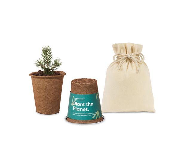 Modern Sprout® One For One Tree Kits