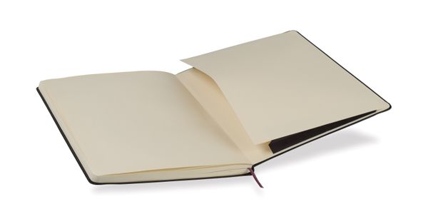 Moleskine® Hard Cover X-Large Double Layout Notebook